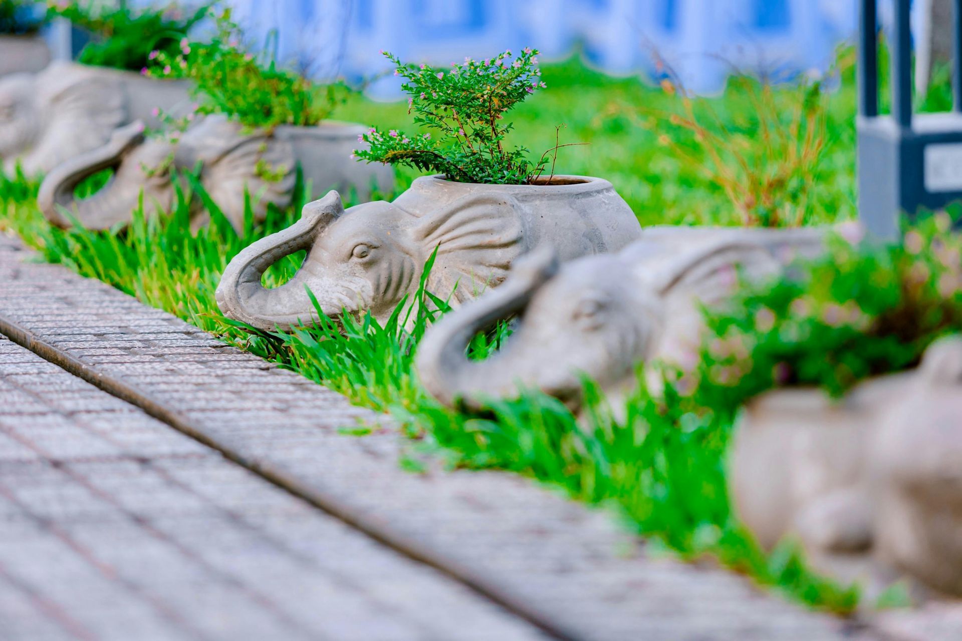 Jardin en rocaille aménagé par un paysagiste à Cabriès